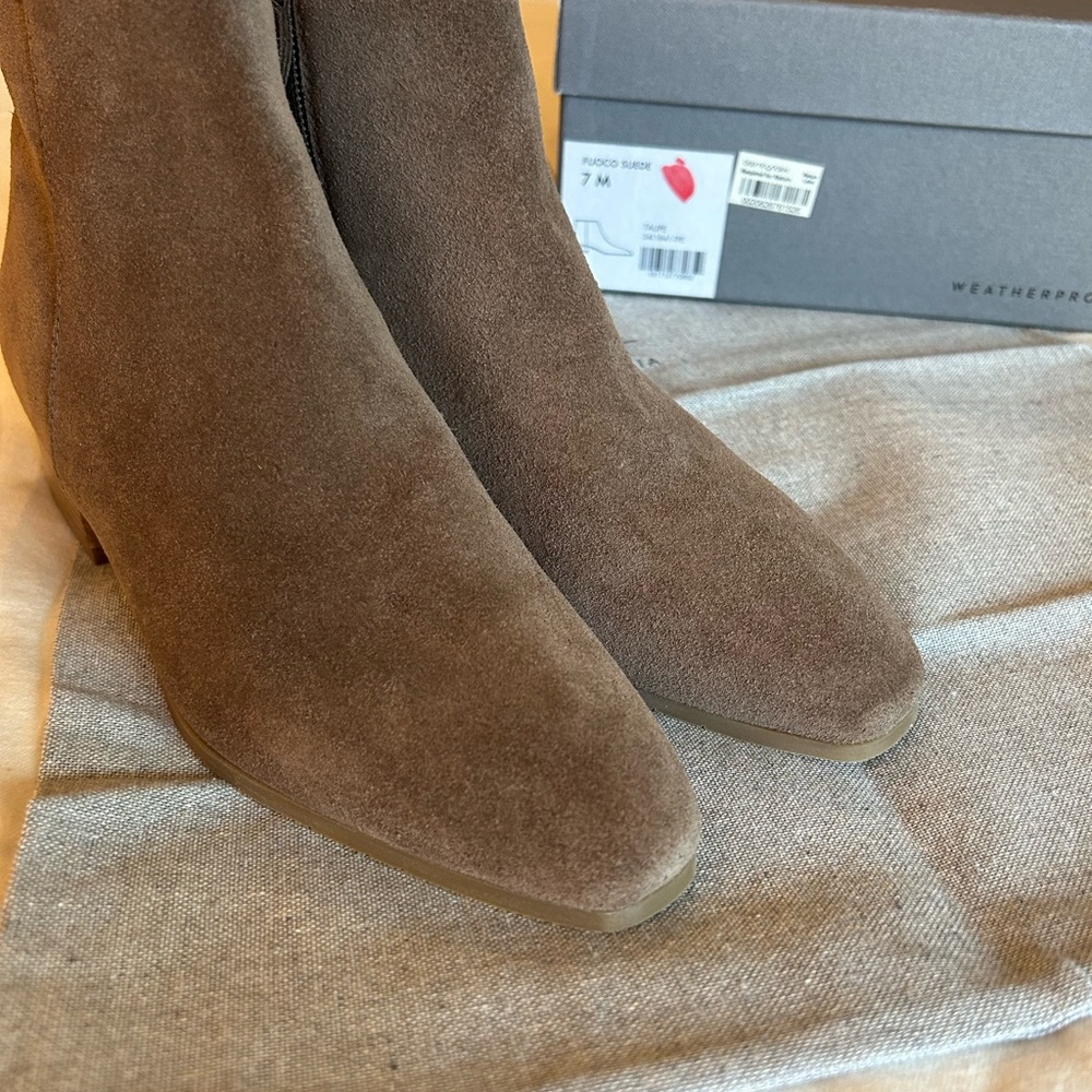 NWT Aquatalia Women's Brown Suede Ankle Boots